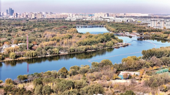 北京城市副中心和大運(yùn)河森林公園。新華社發(fā)